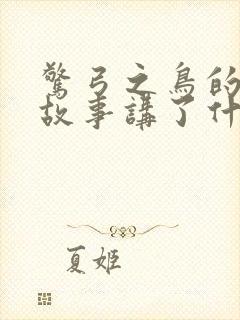 惊弓之鸟的寓言故事讲了什么