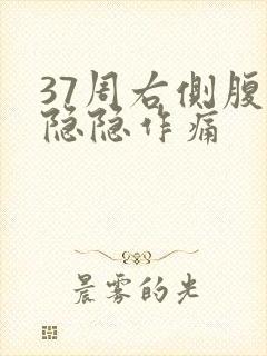 37周右侧腹部隐隐作痛封面