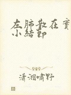 左肺散在实性微小结节