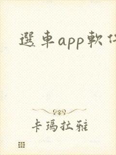 选车app软件封面