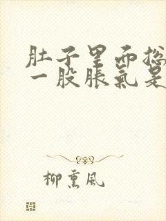 肚子里面总是有一股胀气是怎么回事