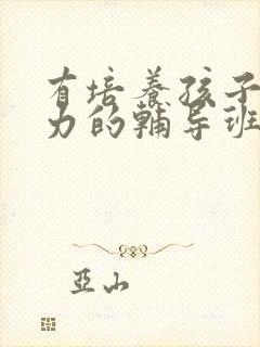 有培养孩子专注力的辅导班吗封面