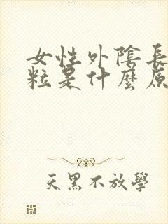 女性外阴长硬颗粒是什么原因