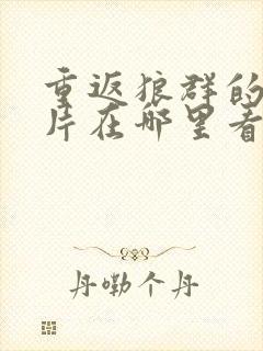 重返狼群的纪录片在哪里看封面