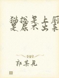 猫总是上厕所但是尿不出来怎么办封面