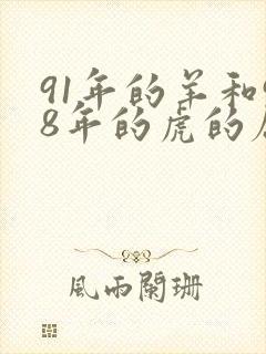 91年的羊和98年的虎的属相适合结婚吗封面