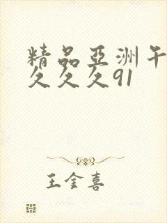 精品亚洲午夜久久久久91