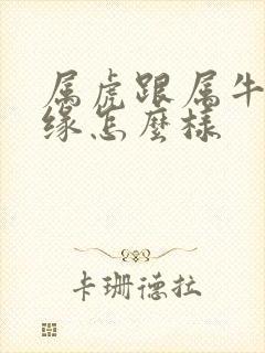 属虎跟属牛的姻缘怎么样