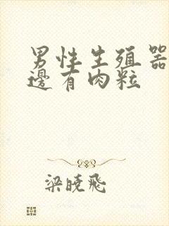 男性生殖器口旁边有肉粒