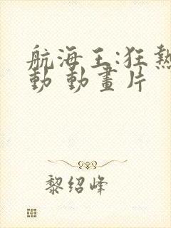 航海王:狂热行动 动画片