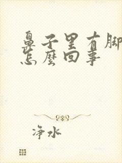 鼻子里有脚臭味怎么回事