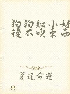 狗狗细小好了以后不吃东西怎么办