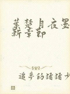 叶楚月夜墨寒最新章节