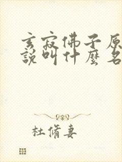 玄寂佛子原著小说叫什么名字