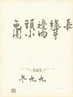 龟头边缘长有一圈小肉芽