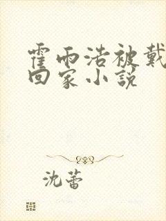 霍雨浩被戴浩接回家小说