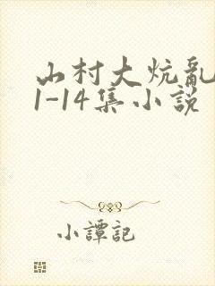 山村大炕乱肉续1-14集小说