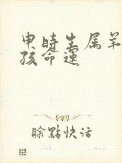 申时生属羊的男孩命运