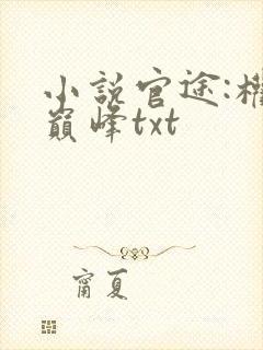 小说官途:权力巅峰txt封面