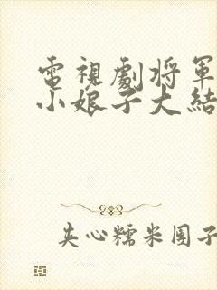 电视剧将军家的小娘子大结局