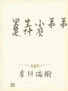 男生小弟弟上面是什么封面