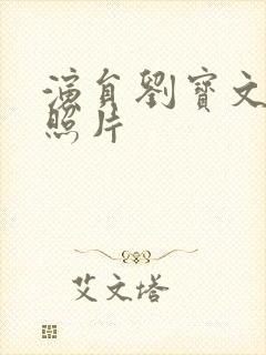 演员刘宝文个人照片