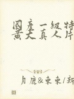 国产一级特黄色黄大真人片