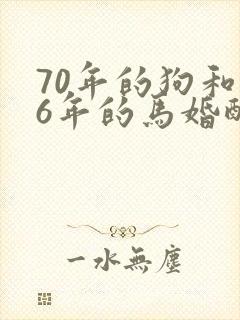 70年的狗和66年的马婚配好吗