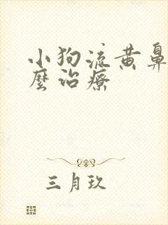 小狗流黄鼻涕怎么治疗