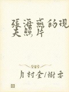 张海燕的现任丈夫照片