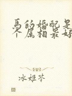 马的婚配是哪几个属相最好