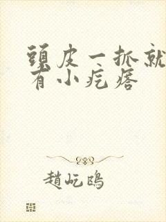 头皮一抓就疼还有小疙瘩