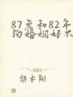 87兔和82年狗婚姻好不好