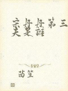 宋丹丹第三任丈夫是谁