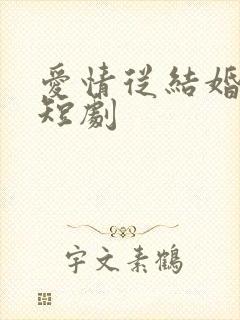 爱情从结婚开始短剧