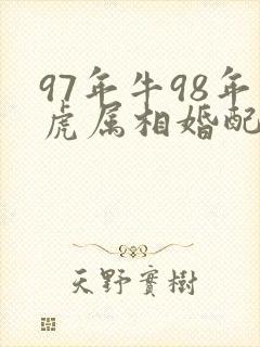 97年牛98年虎属相婚配好吗