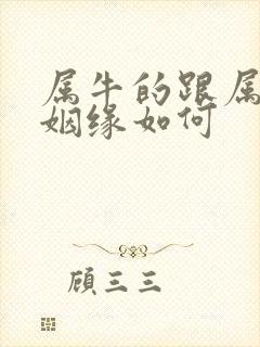 属牛的跟属狗的姻缘如何