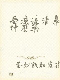 受凉流清鼻涕吃什么药