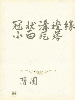 冠状沟边缘一排小白疙瘩封面