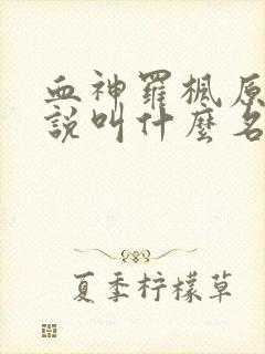 血神罗枫原著小说叫什么名字