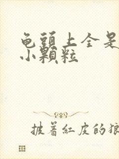 龟头上全是红色小颗粒