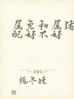 属兔和属猪的婚配好不好