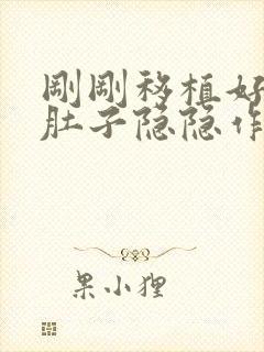 刚刚移植好下午肚子隐隐作痛