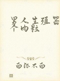 男人生殖器有一个肉粒