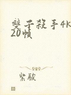 双子杀手4k120帧封面