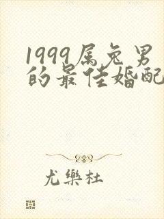 1999属兔男的最佳婚配属相封面
