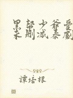 黑帮少爷爱上我未删减泰剧