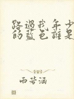 路过我年少时光的蓝色谁是攻