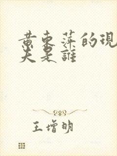 黄东萍的现任丈夫是谁封面