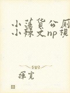 小荡货公厕h文小辣文np视频封面